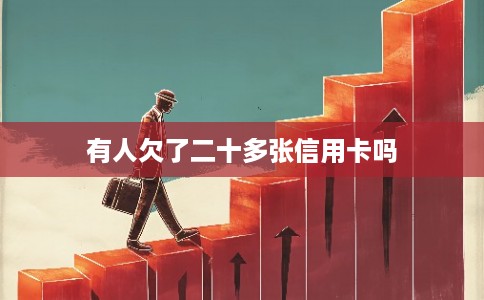 有人欠了二十多张信用卡吗