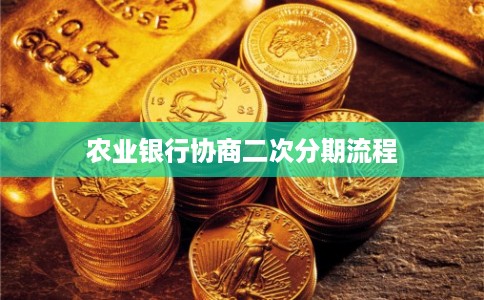 农业银行协商二次分期流程