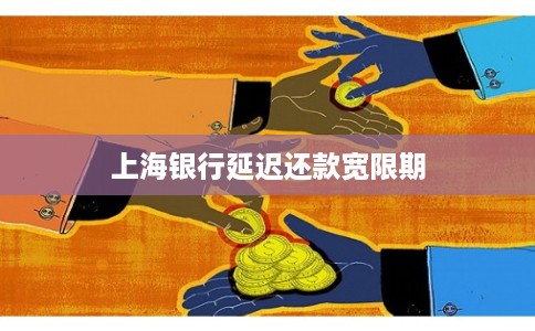 上海银行延迟还款宽限期