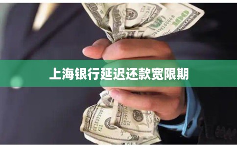 上海银行延迟还款宽限期