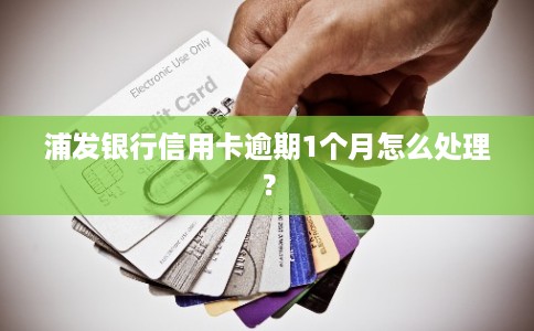 浦发银行信用卡逾期1个月怎么处理？