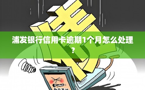 浦发银行信用卡逾期1个月怎么处理？