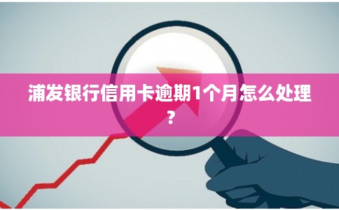 浦发银行信用卡逾期1个月怎么处理？