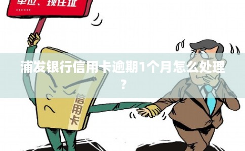 浦发银行信用卡逾期1个月怎么处理？