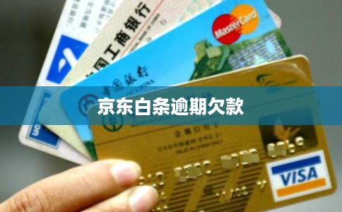 京东白条逾期欠款