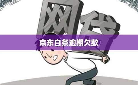 京东白条逾期欠款