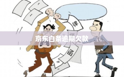 京东白条逾期欠款