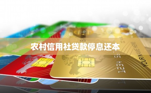 农村信用社贷款停息还本