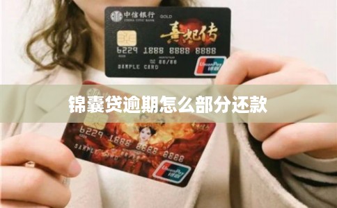 锦囊贷逾期怎么部分还款 锦囊贷逾期怎么部分还款