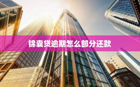 锦囊贷逾期怎么部分还款 锦囊贷逾期怎么部分还款