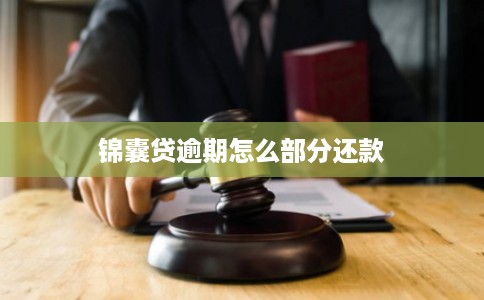 锦囊贷逾期怎么部分还款 锦囊贷逾期怎么部分还款