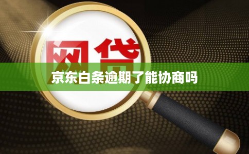 京东白条逾期了能协商吗