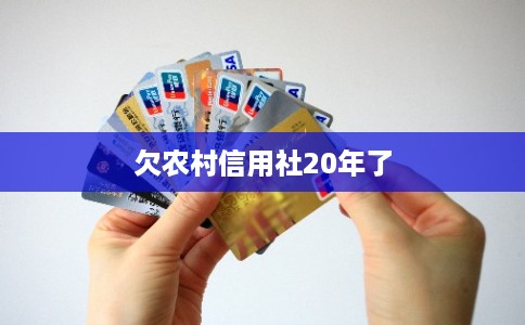 欠农村信用社20年了