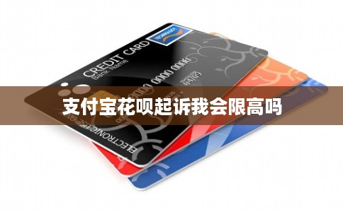 支付宝花呗起诉我会限高吗