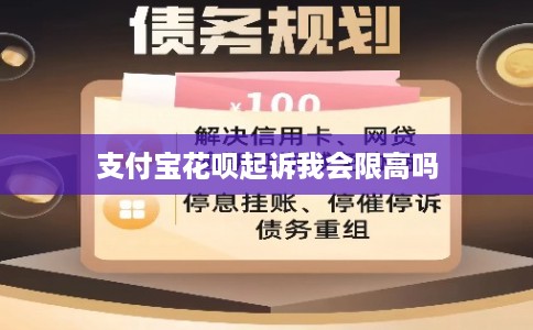 支付宝花呗起诉我会限高吗