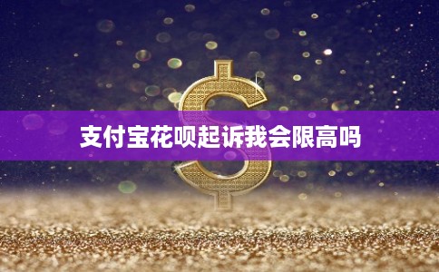 支付宝花呗起诉我会限高吗