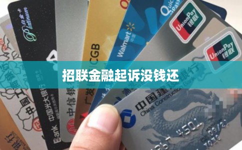 招联金融起诉没钱还