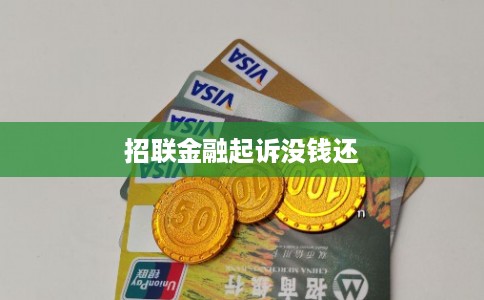 招联金融起诉没钱还