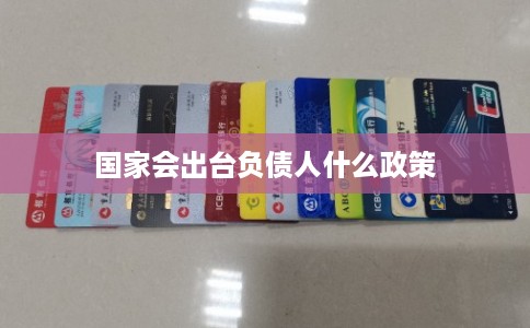国家会出台负债人什么政策