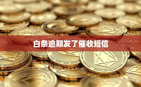 白条逾期发了催收短信 白条逾期发了催收短信