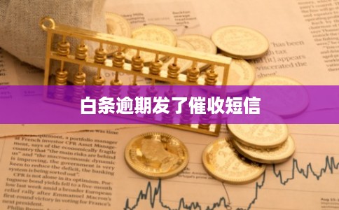 白条逾期发了催收短信 白条逾期发了催收短信