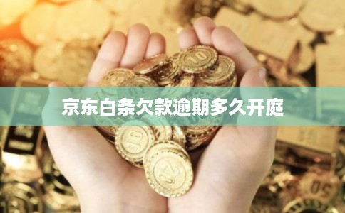 京东白条欠款逾期多久开庭