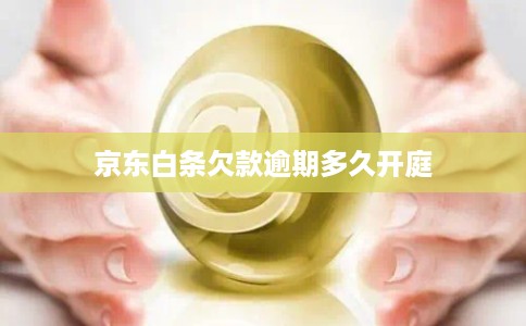 京东白条欠款逾期多久开庭