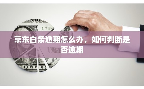 京东白条逾期怎么办，如何判断是否逾期