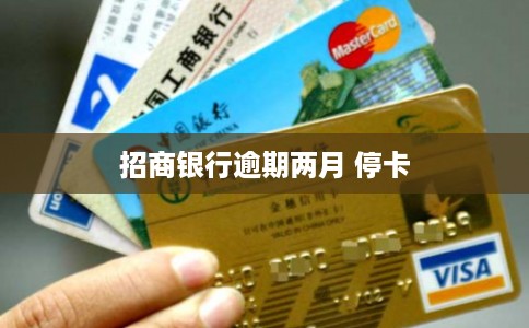 招商银行逾期两月 停卡