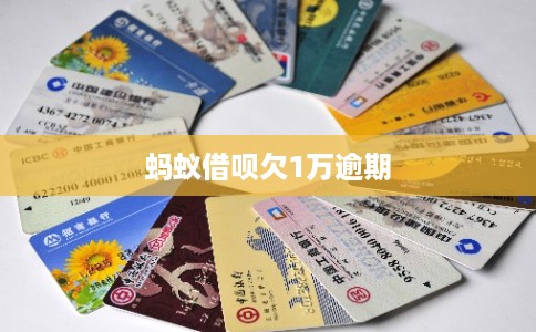 蚂蚁借呗欠1万逾期
