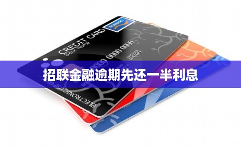 招联金融逾期先还一半利息