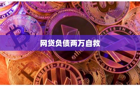 网贷负债两万自救