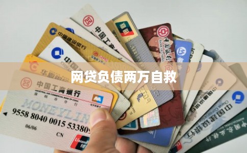 网贷负债两万自救