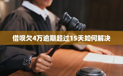 借呗欠4万逾期超过15天如何解决