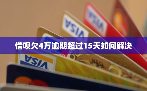 借呗欠4万逾期超过15天如何解决