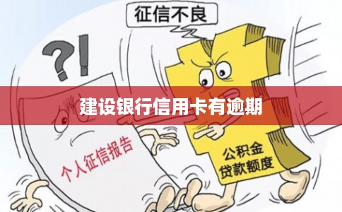 建设银行信用卡有逾期