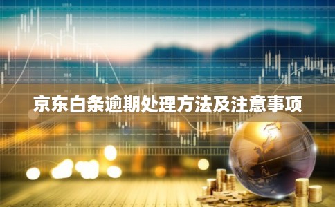 京东白条逾期处理方法及注意事项