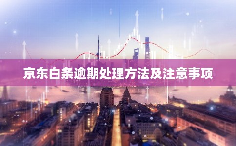 京东白条逾期处理方法及注意事项
