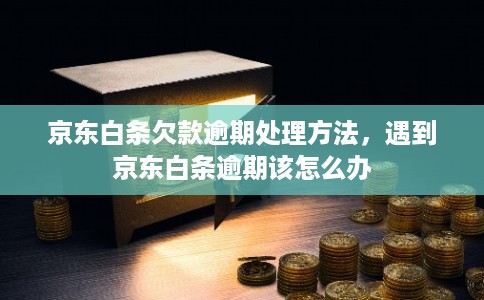 京东白条欠款逾期处理方法，遇到京东白条逾期该怎么办