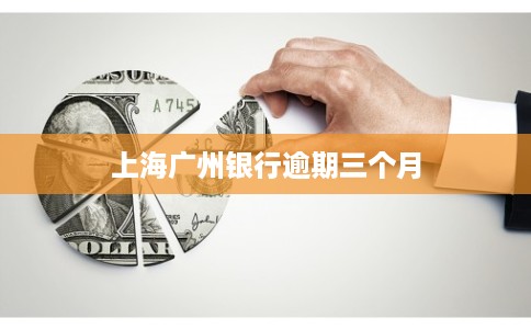 上海广州银行逾期三个月