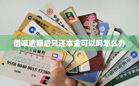 借呗逾期后只还本金可以吗怎么办 借呗逾期后只还本金可以吗怎么办