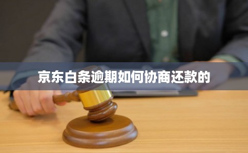 京东白条逾期如何协商还款的