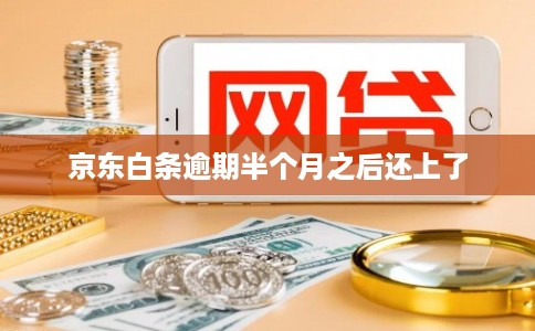 京东白条逾期半个月之后还上了