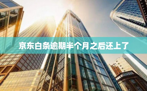 京东白条逾期半个月之后还上了
