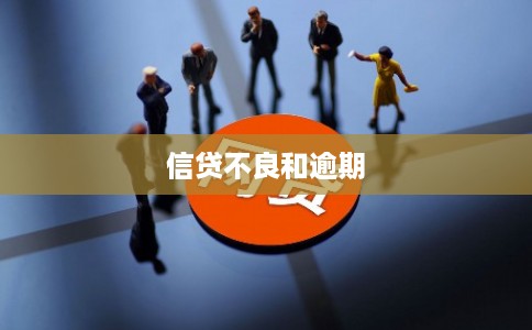 信贷不良和逾期