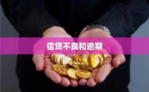 信贷不良和逾期