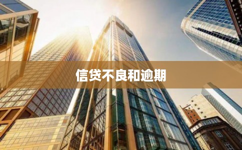 信贷不良和逾期
