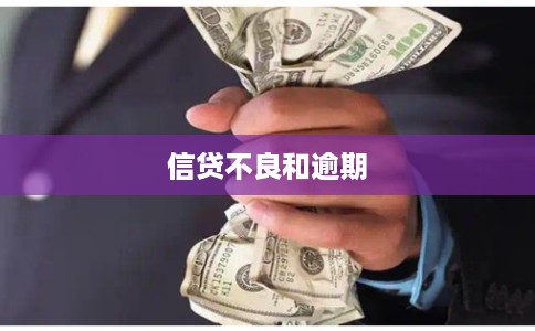 信贷不良和逾期