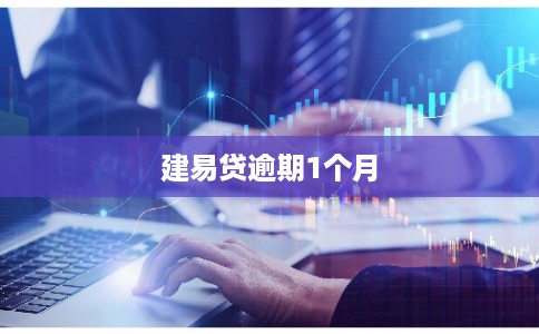建易贷逾期1个月