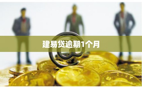 建易贷逾期1个月